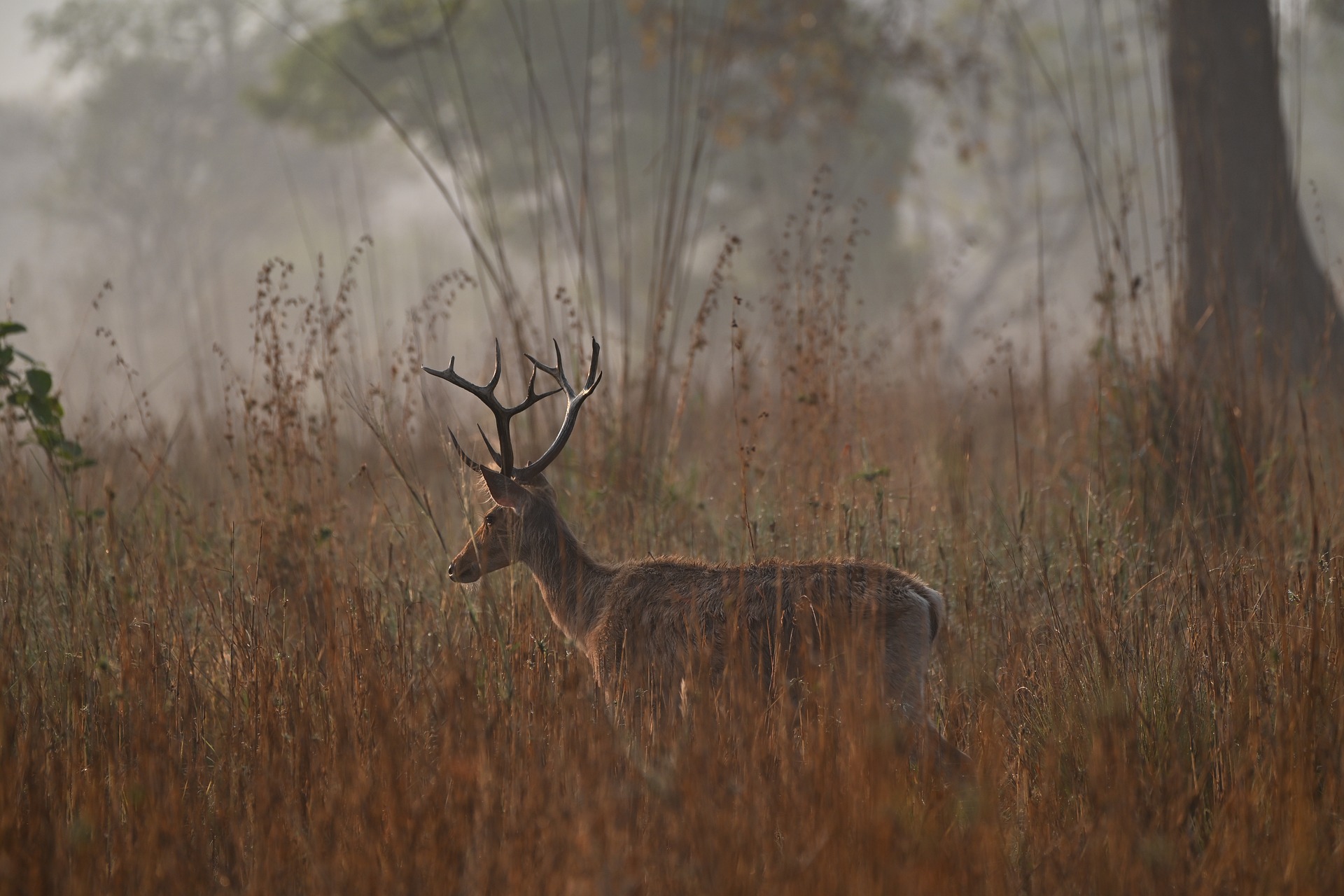 SpringBoot配置文件读取方案